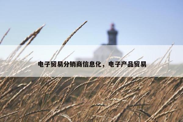 电子贸易分销商信息化，电子产品贸易