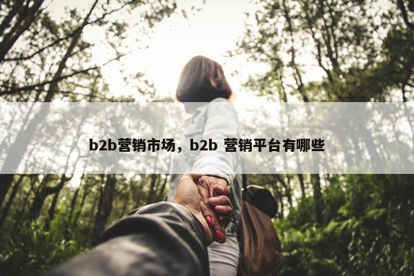 b2b营销市场，b2b 营销平台有哪些