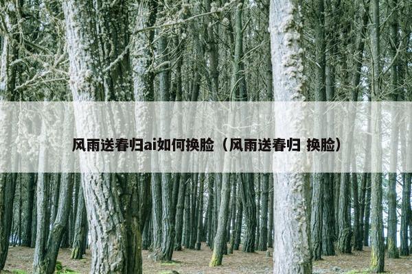 风雨送春归ai如何换脸（风雨送春归 换脸）