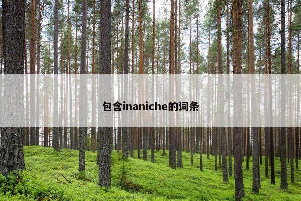 包含inaniche的词条