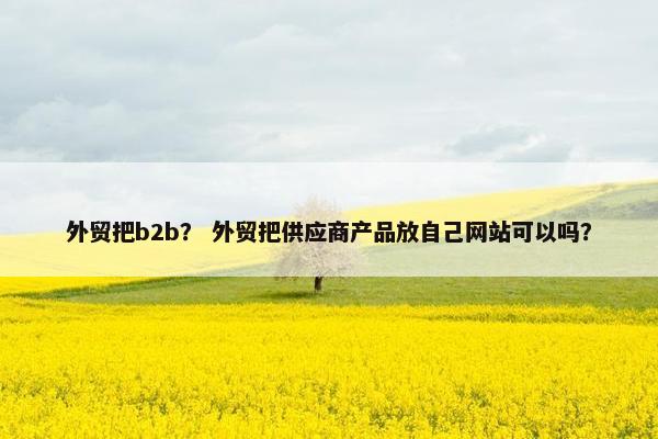 外贸把b2b？ 外贸把供应商产品放自己网站可以吗？