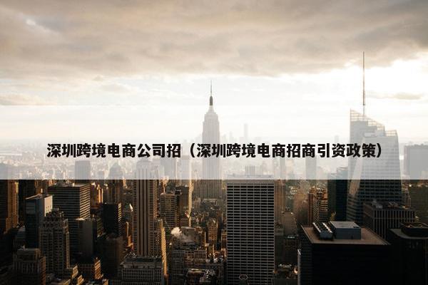 深圳跨境电商公司招（深圳跨境电商招商引资政策）