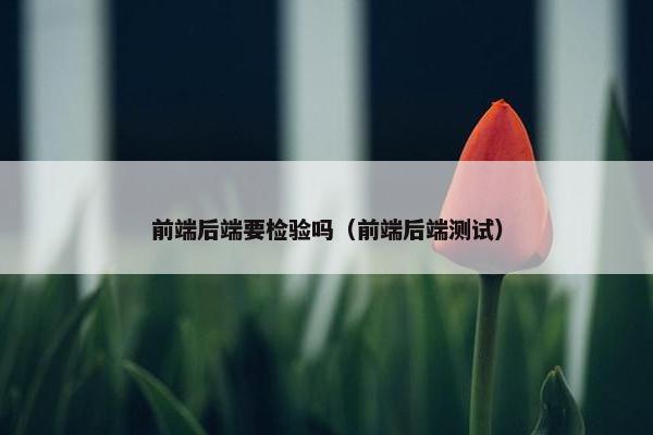 前端后端要检验吗（前端后端测试）