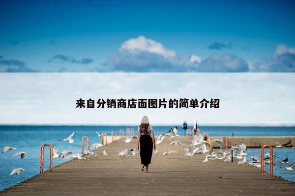 来自分销商店面图片的简单介绍