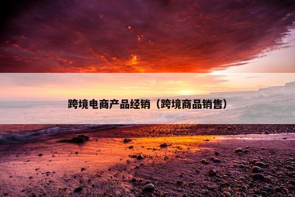 跨境电商产品经销（跨境商品销售）