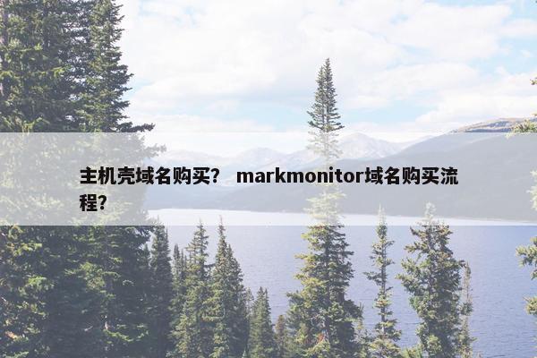 主机壳域名购买？ markmonitor域名购买流程？