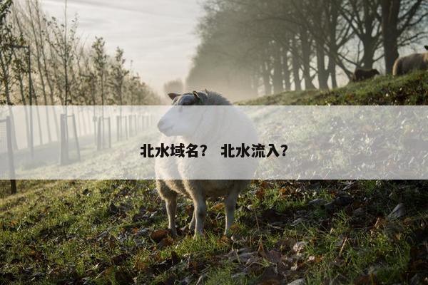 北水域名？ 北水流入？