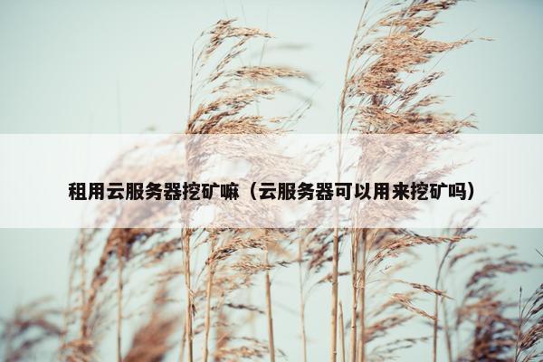 租用云服务器挖矿嘛（云服务器可以用来挖矿吗）