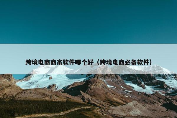 跨境电商商家软件哪个好（跨境电商必备软件）
