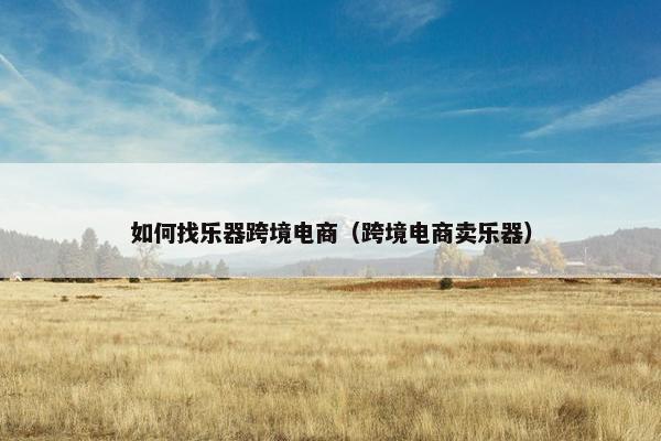 如何找乐器跨境电商（跨境电商卖乐器）