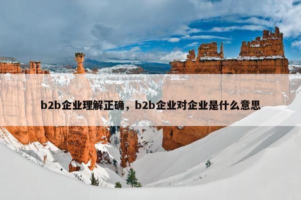 b2b企业理解正确，b2b企业对企业是什么意思