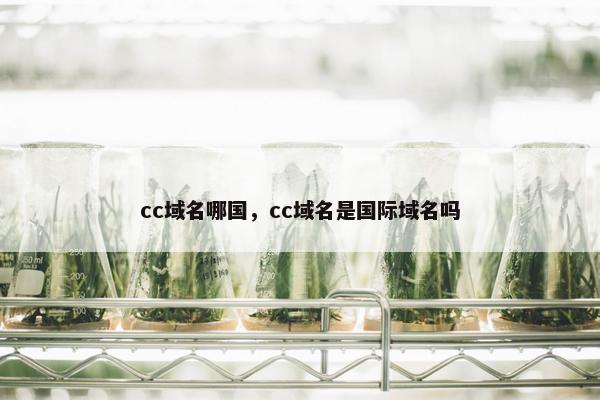 cc域名哪国，cc域名是国际域名吗
