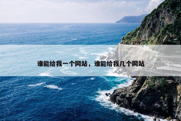 谁能给我一个网站，谁能给我几个网站