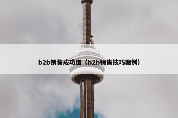 b2b销售成功道（b2b销售技巧案例）