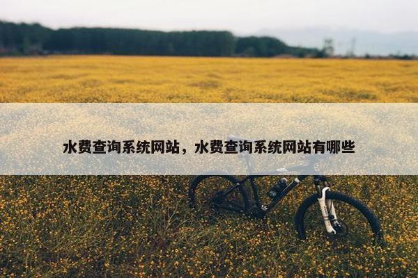 水费查询系统网站，水费查询系统网站有哪些