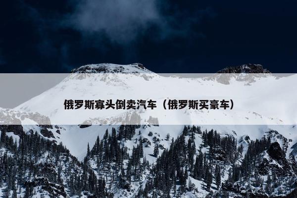 俄罗斯寡头倒卖汽车（俄罗斯买豪车）