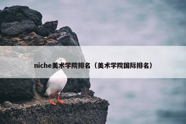 niche美术学院排名（美术学院国际排名）