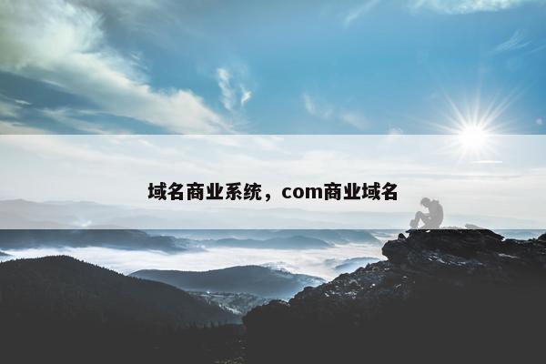 域名商业系统，com商业域名