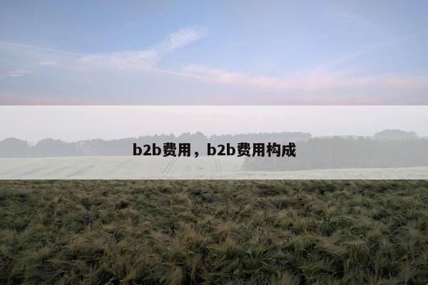b2b费用，b2b费用构成