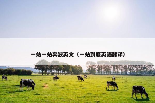 一站一站奔波英文（一站到底英语翻译）
