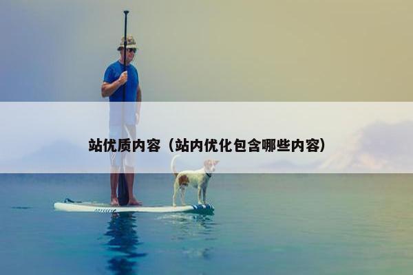 站优质内容（站内优化包含哪些内容）