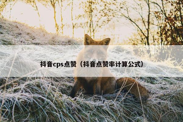 抖音cps点赞（抖音点赞率计算公式）