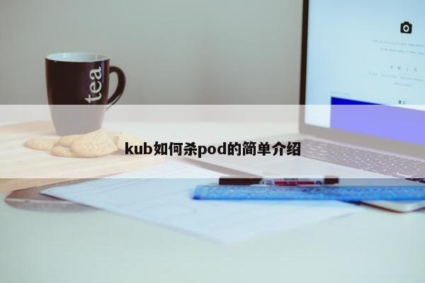 kub如何杀pod的简单介绍