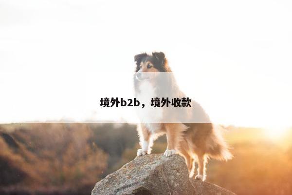 境外b2b，境外收款