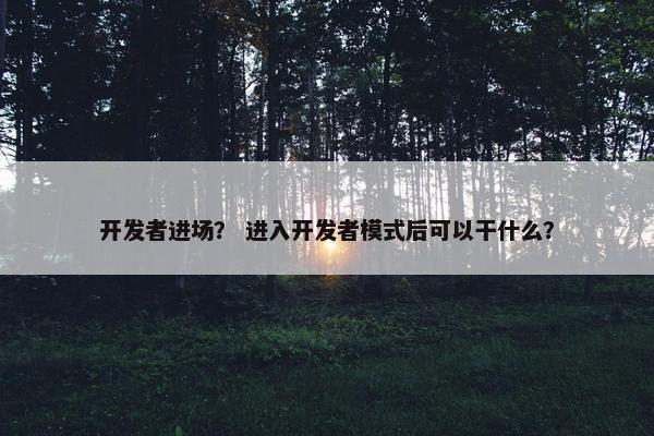 开发者进场？ 进入开发者模式后可以干什么？