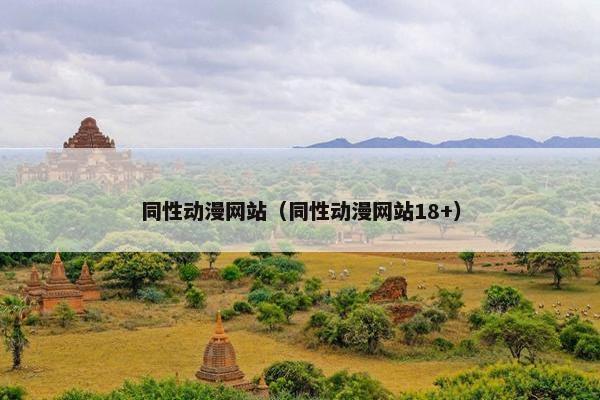 同性动漫网站（同性动漫网站18+）