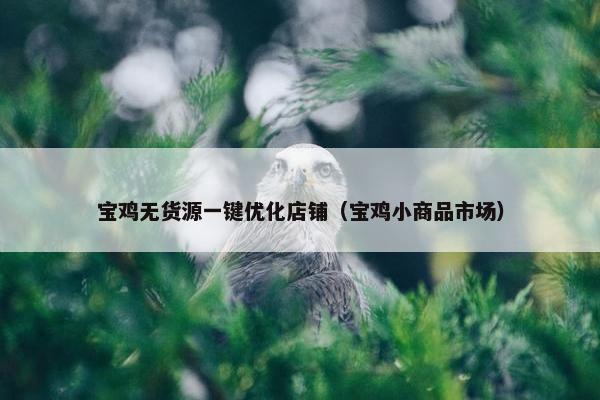 宝鸡无货源一键优化店铺（宝鸡小商品市场）