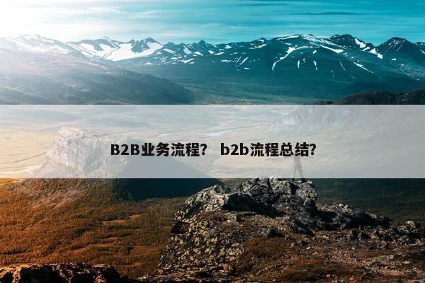 B2B业务流程？ b2b流程总结？