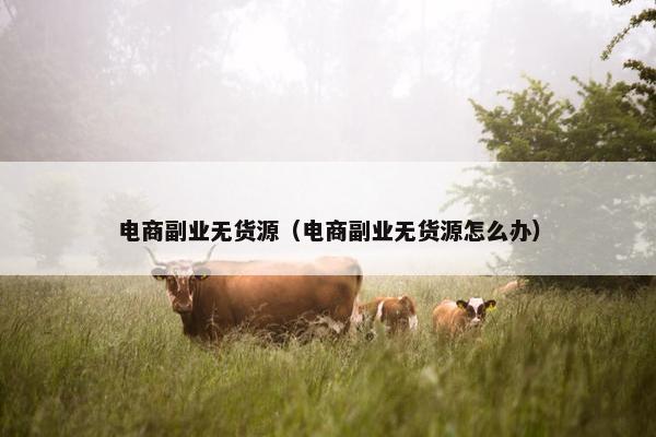 电商副业无货源（电商副业无货源怎么办）