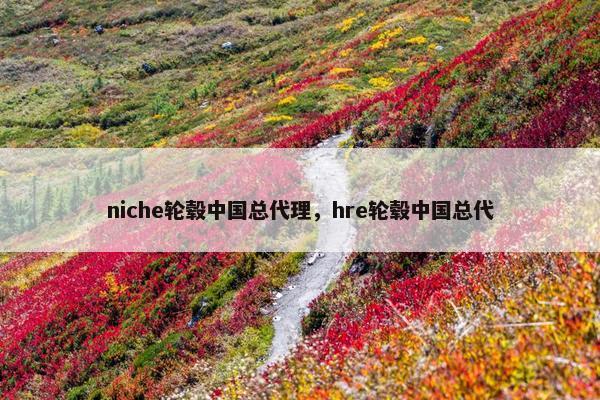 niche轮毂中国总代理，hre轮毂中国总代