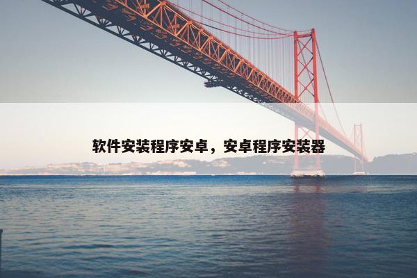 软件安装程序安卓，安卓程序安装器
