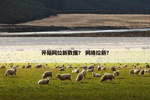 开箱网拉新数据？ 网络拉新？