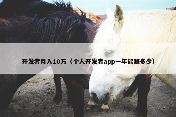 开发者月入10万（个人开发者app一年能赚多少）