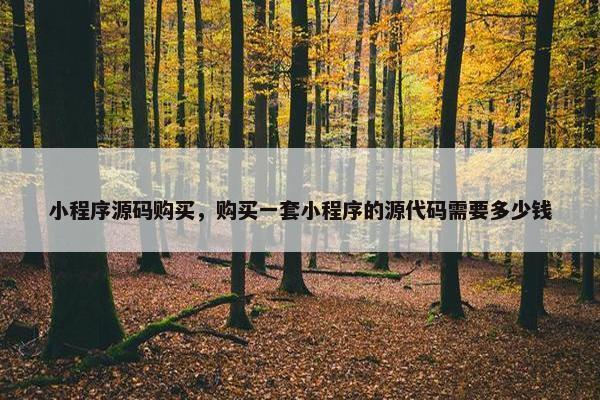 小程序源码购买，购买一套小程序的源代码需要多少钱