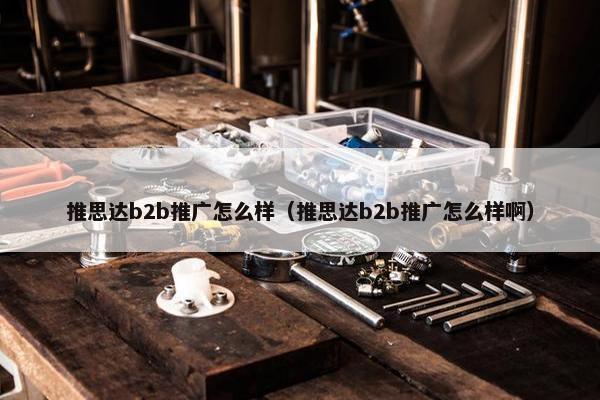 推思达b2b推广怎么样（推思达b2b推广怎么样啊）