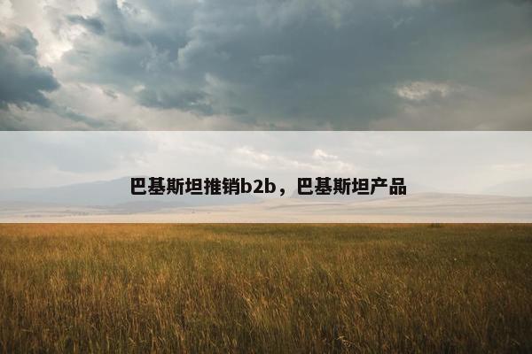 巴基斯坦推销b2b，巴基斯坦产品