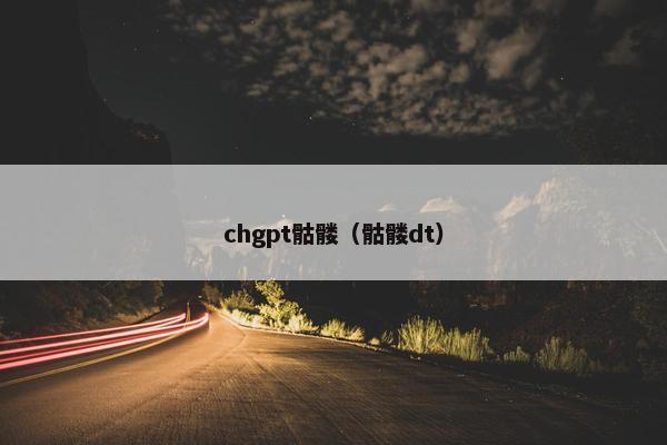 chgpt骷髅（骷髅dt）