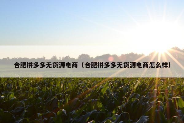 合肥拼多多无货源电商（合肥拼多多无货源电商怎么样）