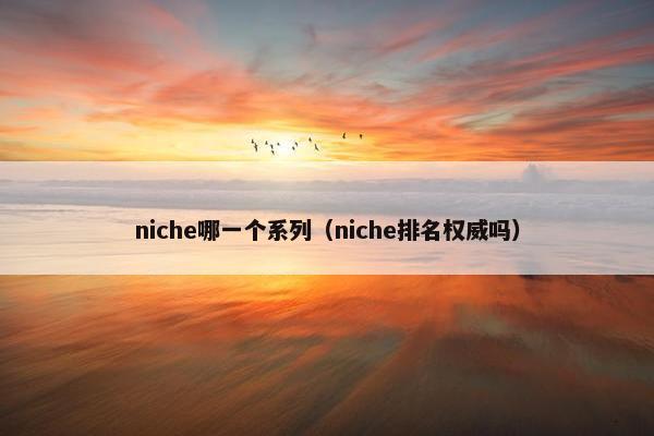 niche哪一个系列（niche排名权威吗）