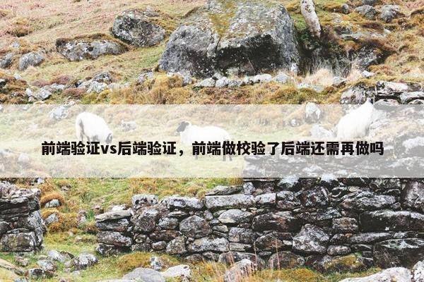 前端验证vs后端验证，前端做校验了后端还需再做吗