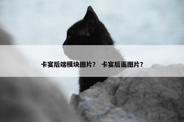 卡宴后端模块图片？ 卡宴后面图片？