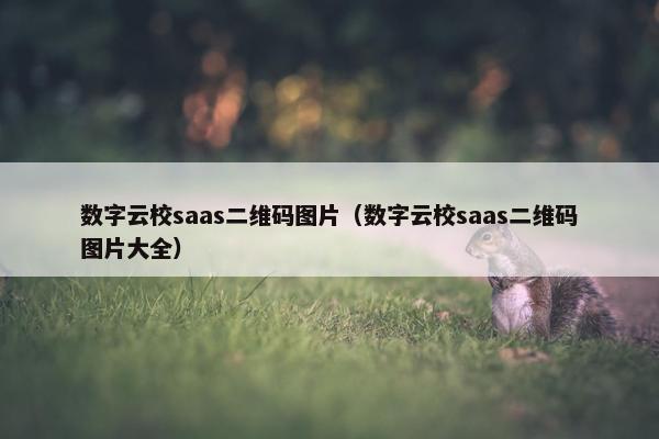 数字云校saas二维码图片（数字云校saas二维码图片大全）