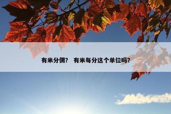 有米分佣？ 有米每分这个单位吗？