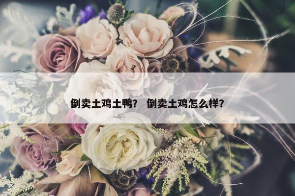 倒卖土鸡土鸭？ 倒卖土鸡怎么样？