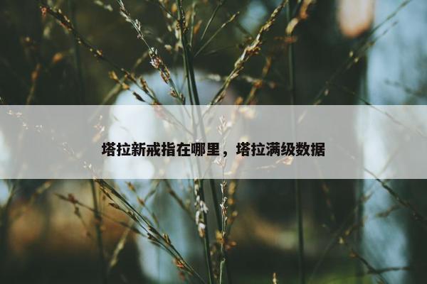 塔拉新戒指在哪里，塔拉满级数据