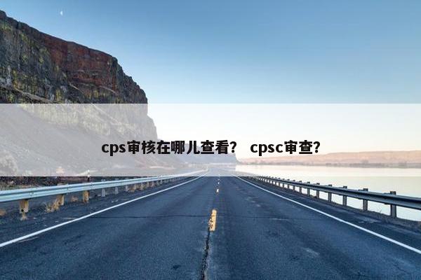 cps审核在哪儿查看？ cpsc审查？